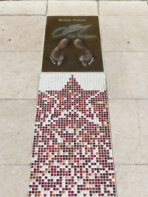 刺不仅是一