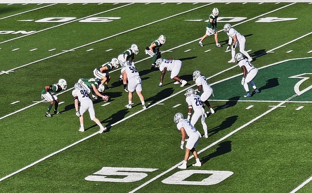 元化发展的 元化发展的